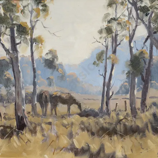 Leslie A Campbell - Among the Saplings