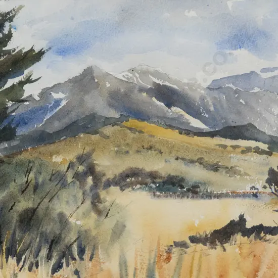 Anthea Crozier - Wairarapa Landscape