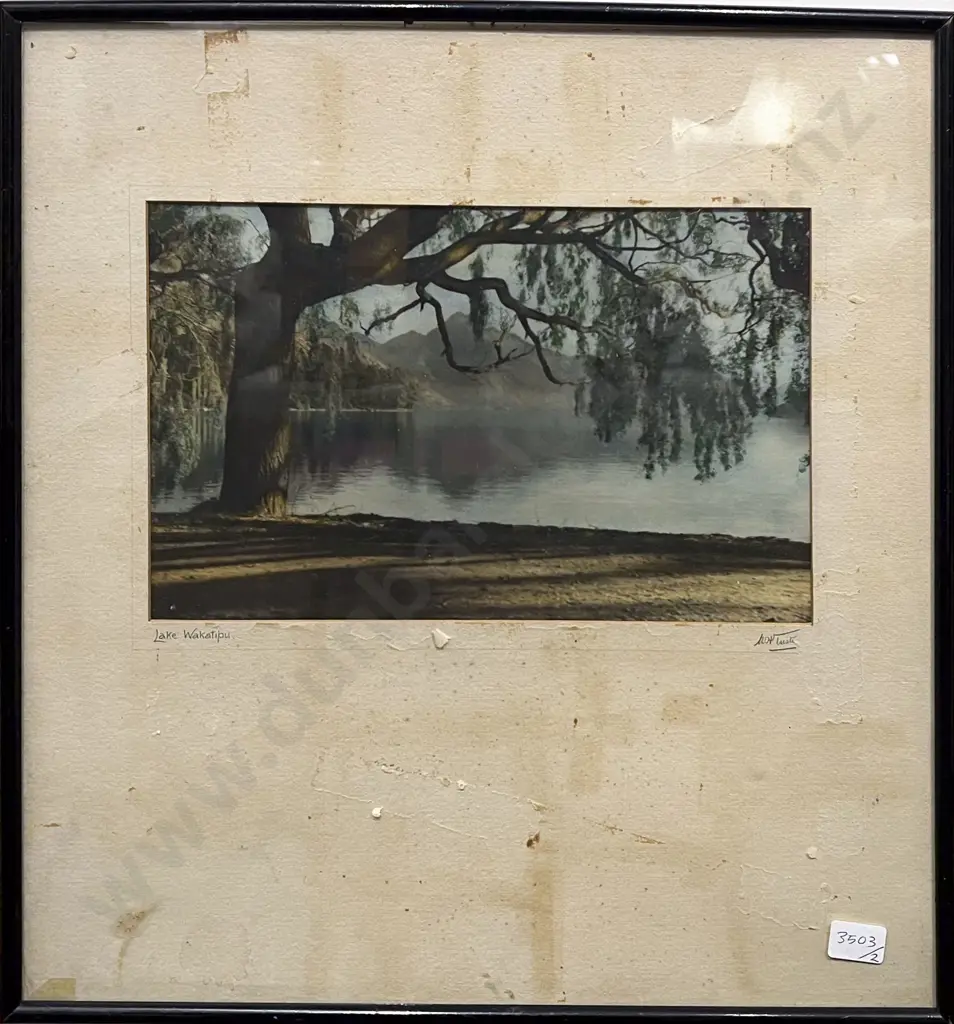 W H Tustin - Lake Wakatipu - Hand Coloured Photograph Image 1++