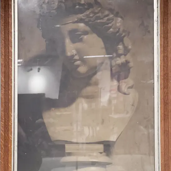 Vintage Print of a Grecian Bust