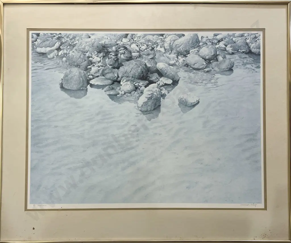 Raymond Ching "Plover Chicks" Signed Ltd Edition Print Image 1++