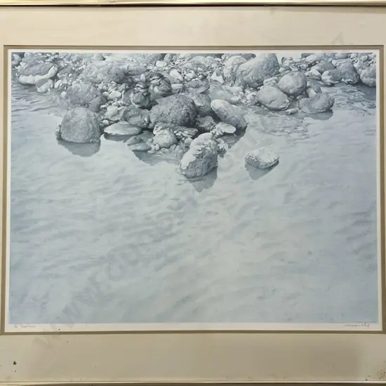 Raymond Ching "Plover Chicks" Signed Ltd Edition Print