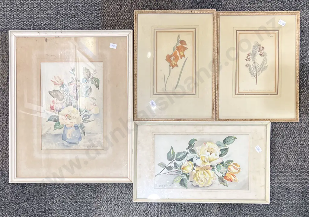 Two Floral Still Life Watercolours by E.M. Dinnie together with Two Botanical Prints Image 1++