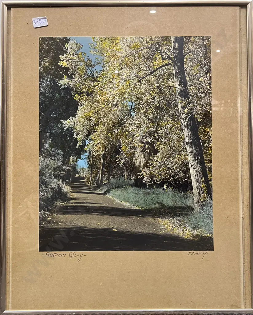 Nine Assorted Framed and Loose Works Image 1++