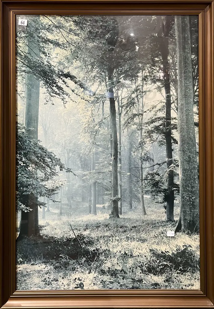 Two Large Framed Prints Image 1++