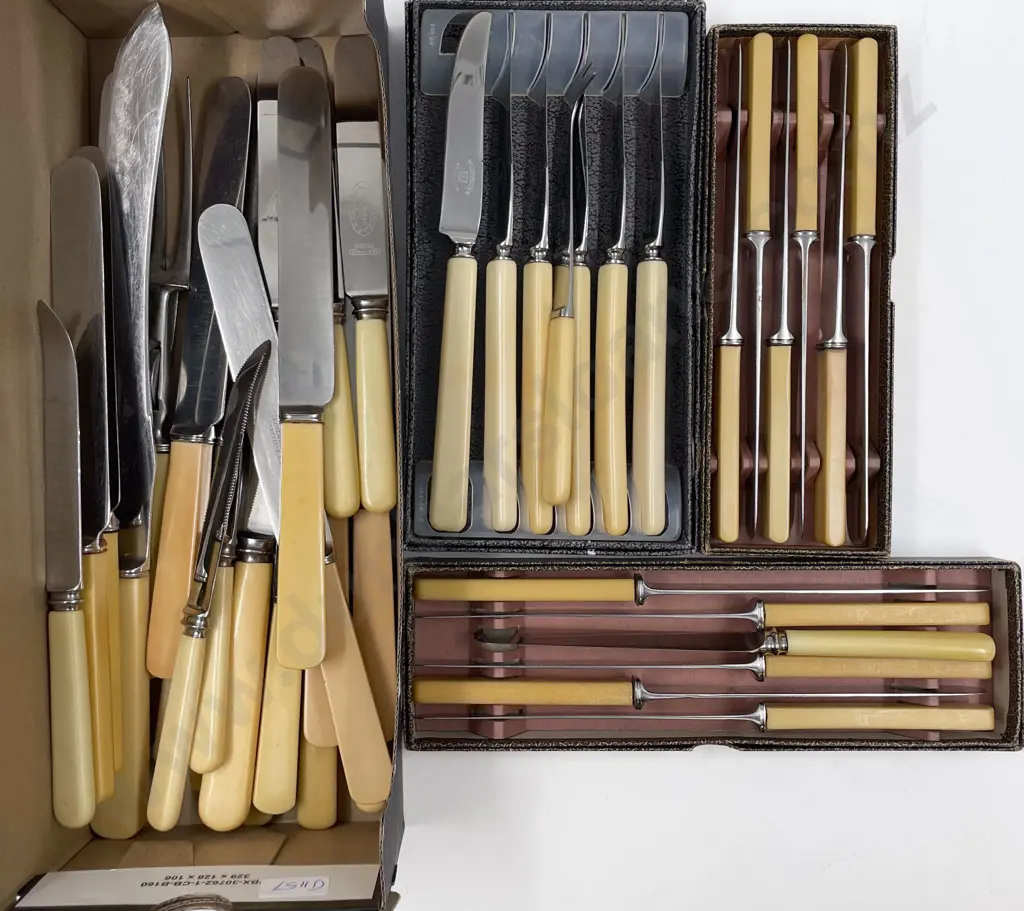 Quantity of Assorted Boxed Bone Handled Cutlery Image 1++