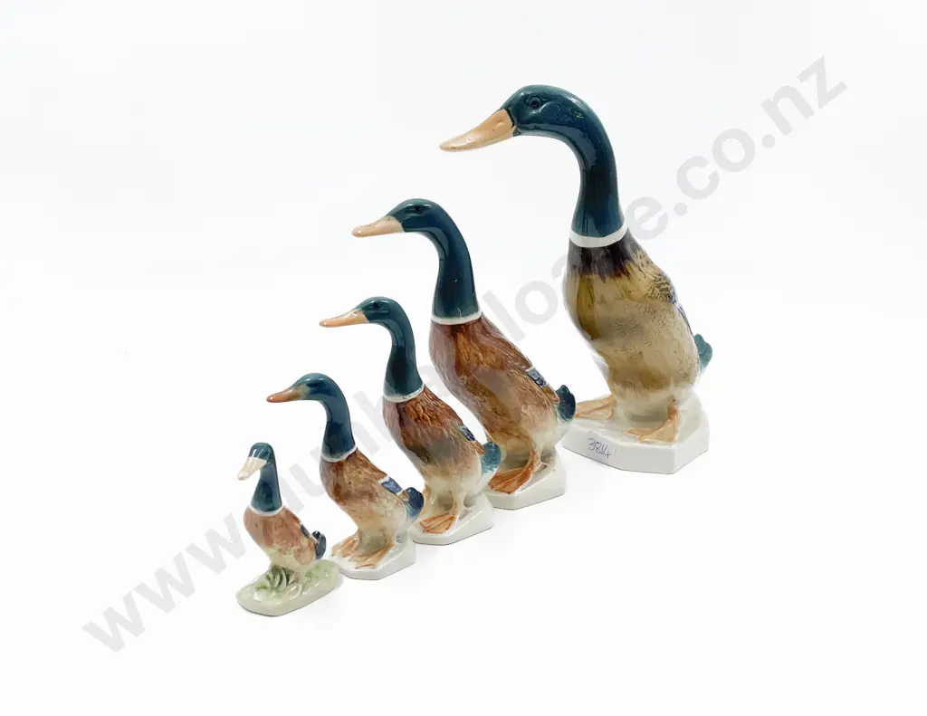 Five Graduated Beswick Ducks Image 1++