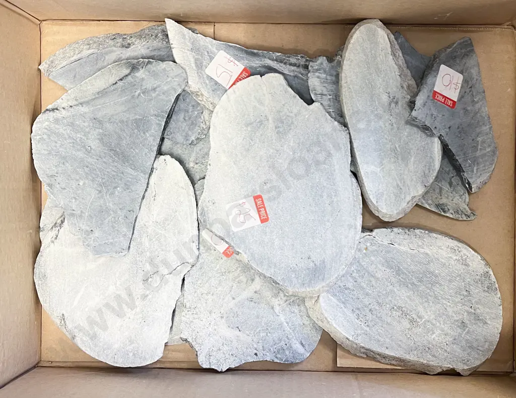 Box Quantity of Geological Samples Image 1++