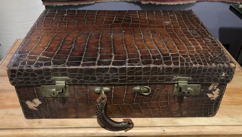 Vintage Crocodile Skin Case Image 1++