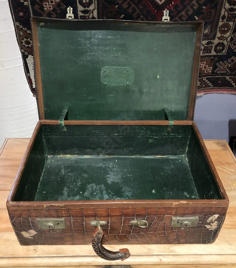 Vintage Crocodile Skin Case Image 1++