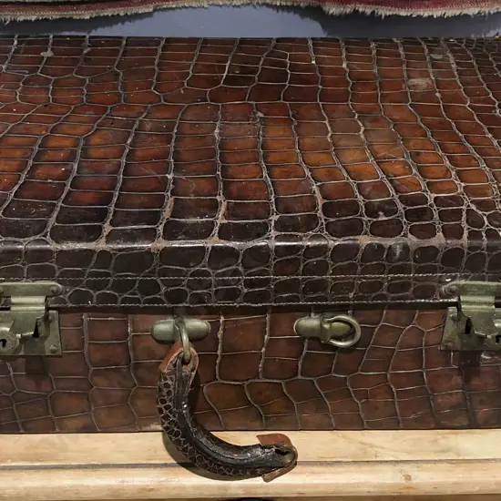 Vintage Crocodile Skin Case