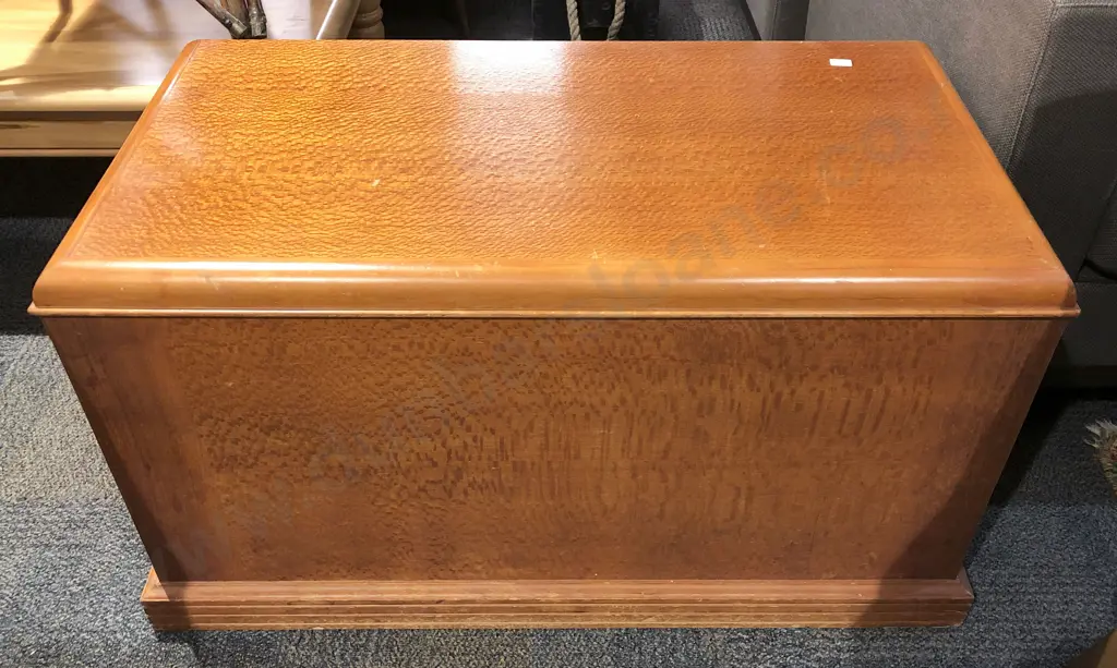 Blanket Chest Image 1++