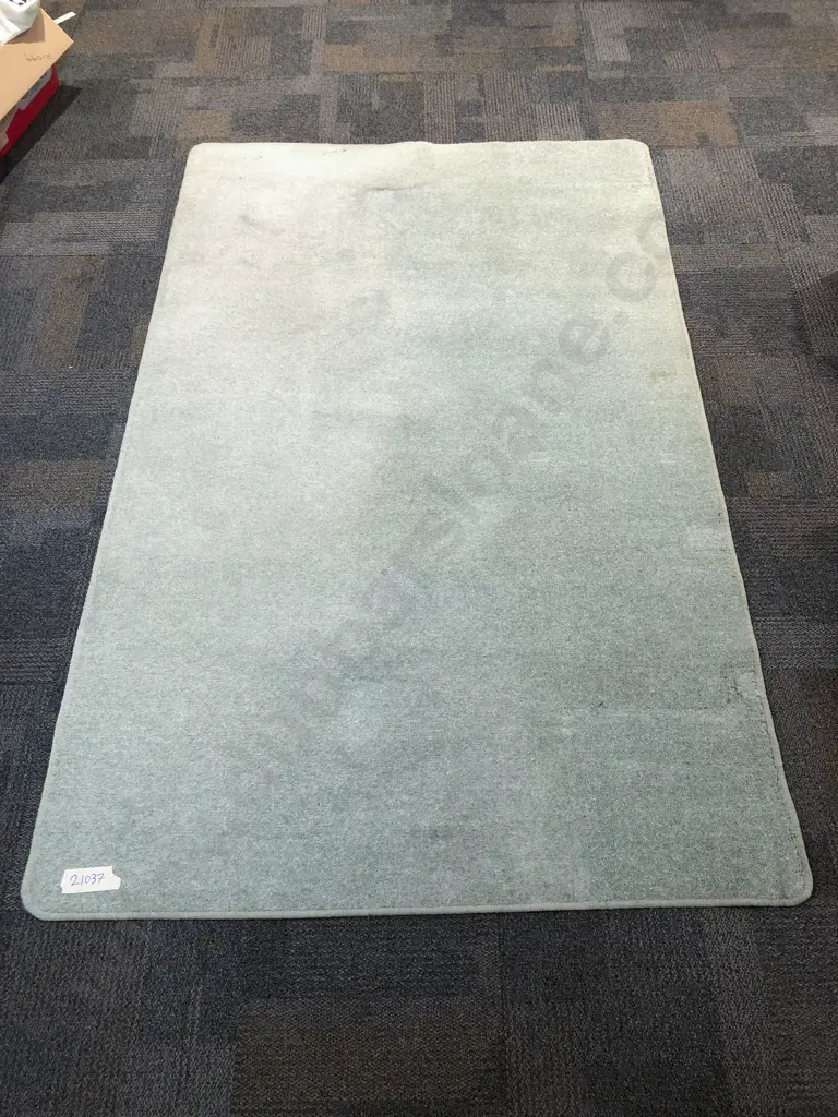 Modern Light Green Floor Rug (AF) Image 1++