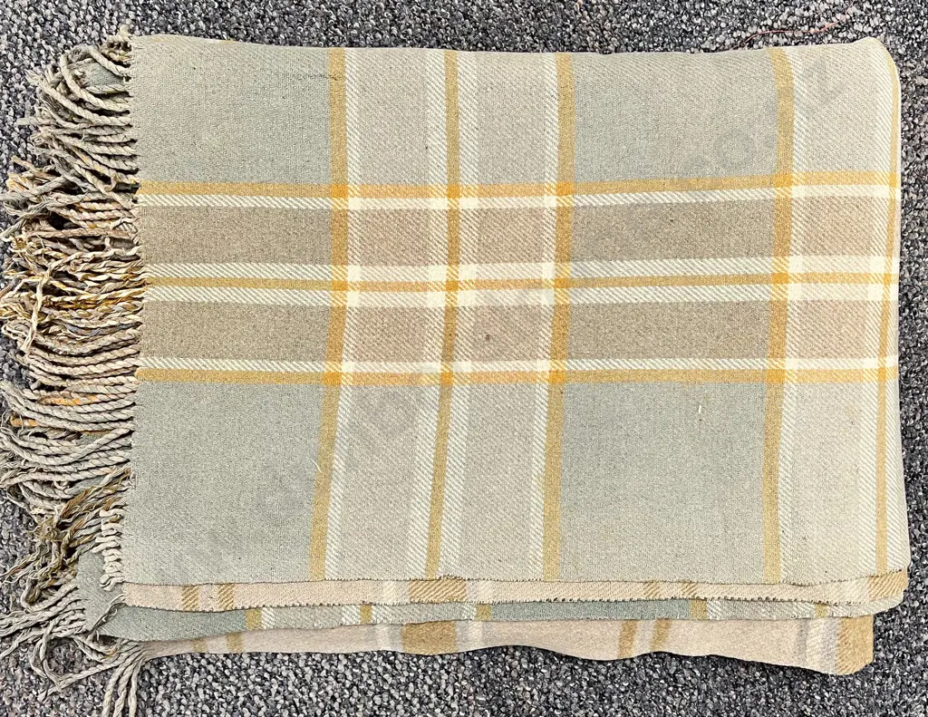Vintage Unlabelled Travel Rug Image 1++