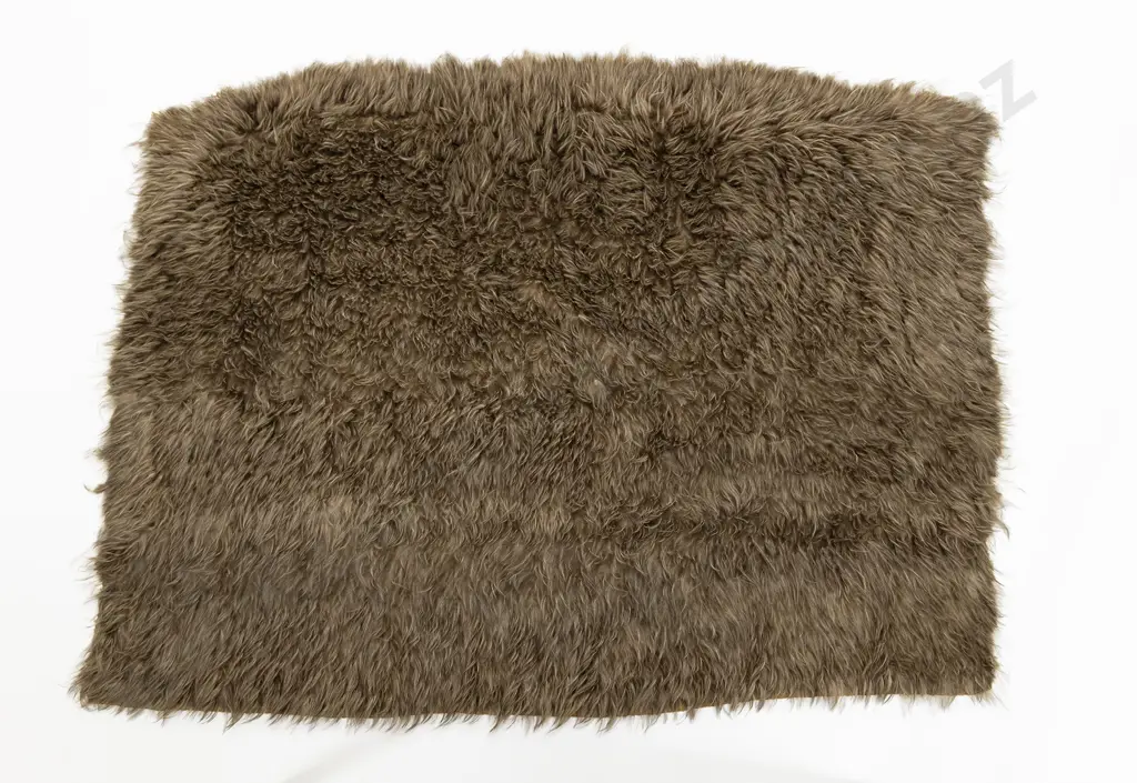 A Fine 19th Century Kahu Kiwi - Kiwi Feather Cloak Image 1++