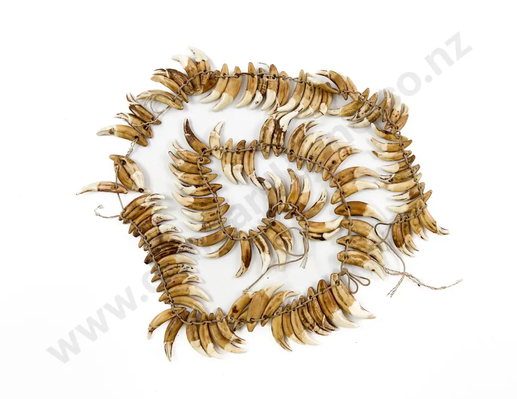 A Papua New Guinea Warriors Dog Tooth Necklace Image 1++