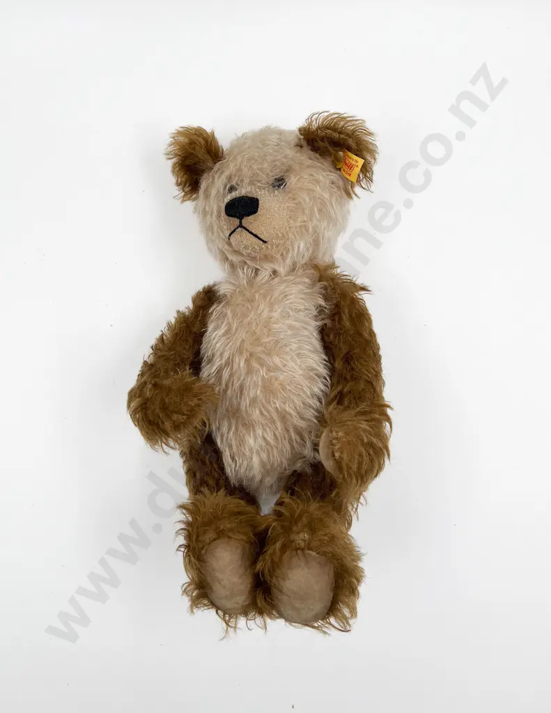 Vintage Steiff Teddy Bear Image 1++