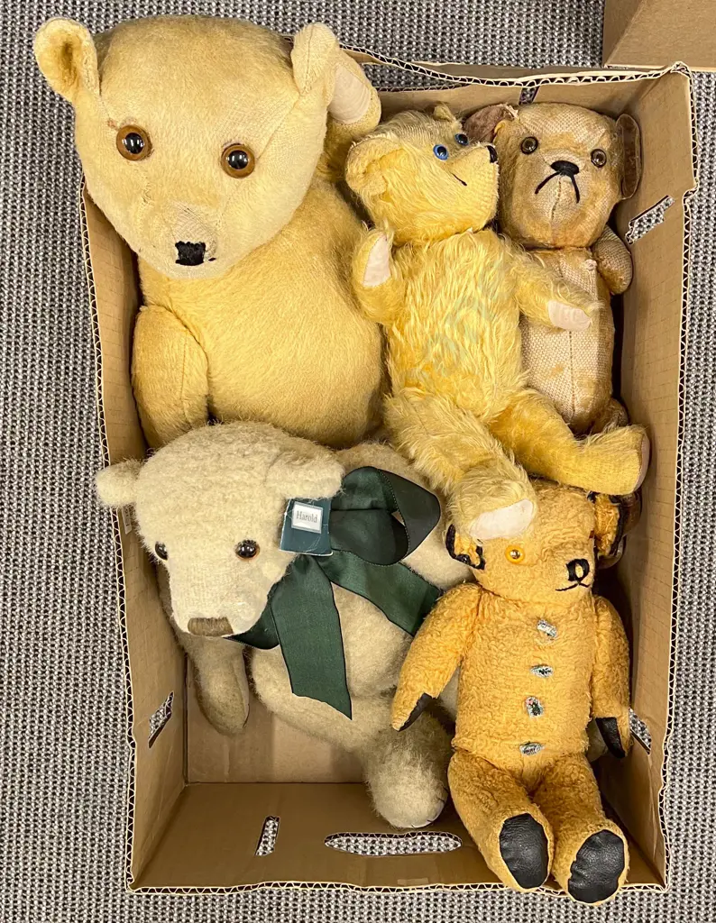 Box of Assorted Vintage Teddy Bears Image 1++