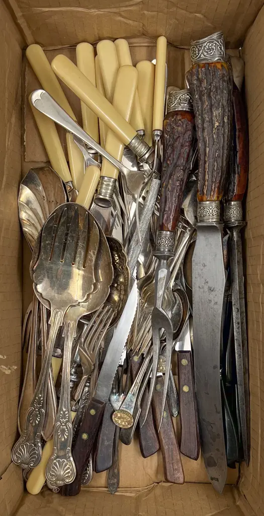 Small Quantity of Assorted Cutlery Including Horn Handled Carving Set Image 1++