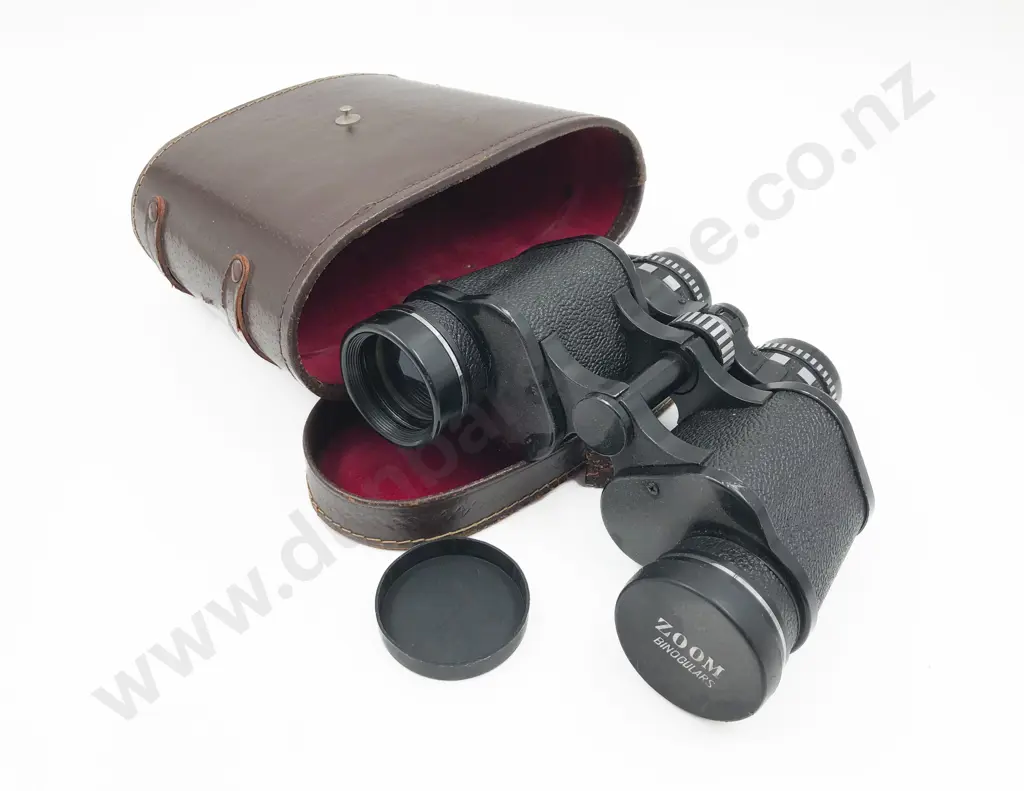 Binoculars in Case Image 1++