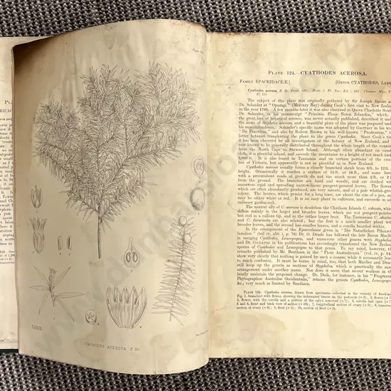 Vintage Illustrated Botanical Study Reference Volume