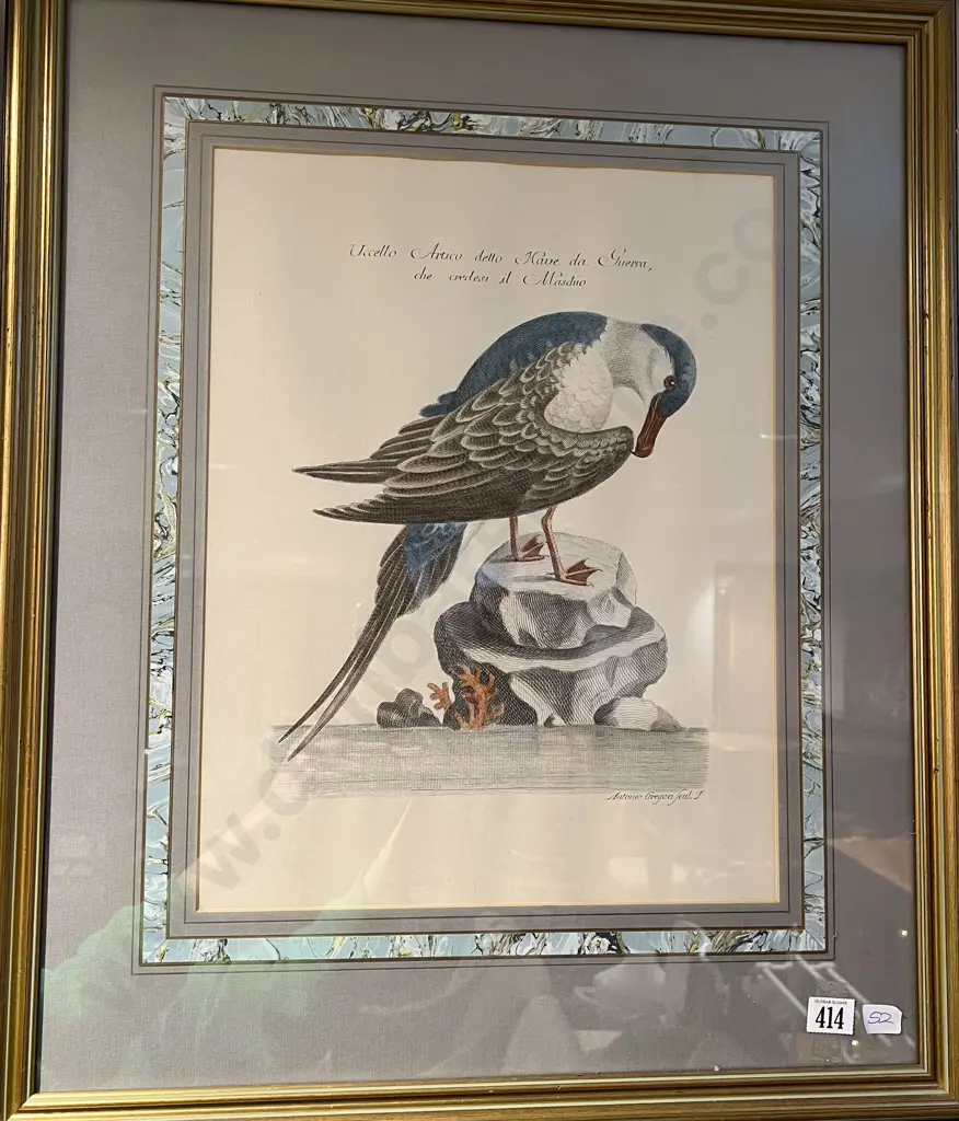 Framed Bookplate Bird Study Image 1++
