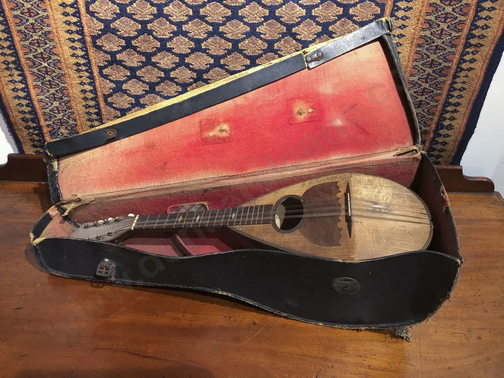 Inlaid Vintage Mandolin Image 1++