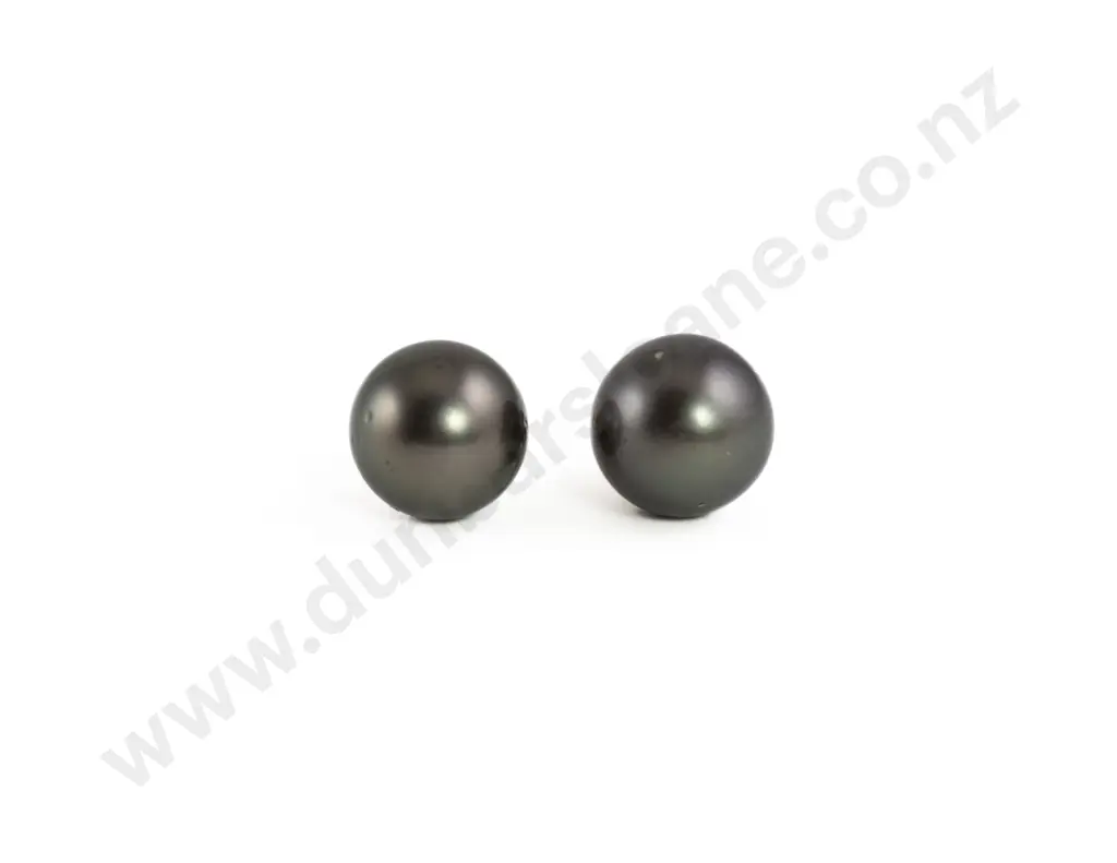 Pair S/S Mounted Single 8mm Black Pearl Stud Earrings Image 1++
