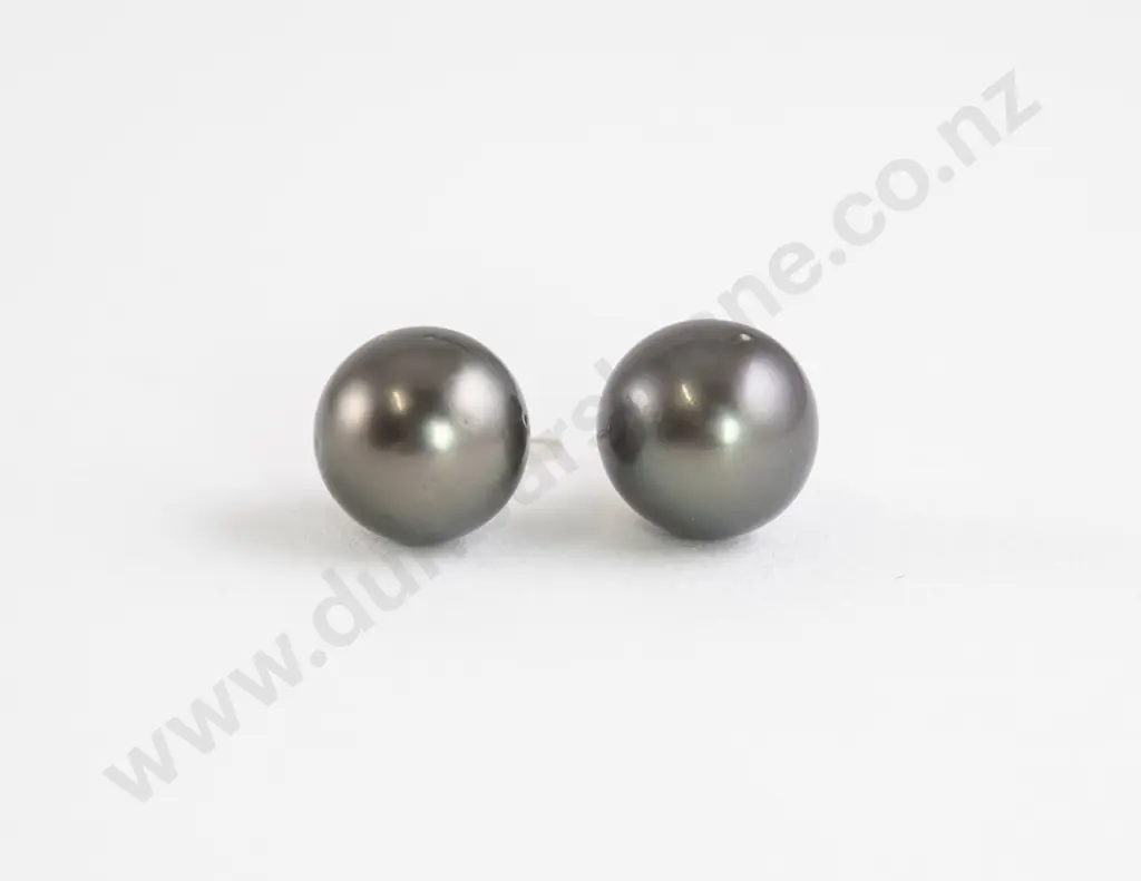 Pair S/S Mounted Single 8mm Black Pearl Stud Earrings Image 1++