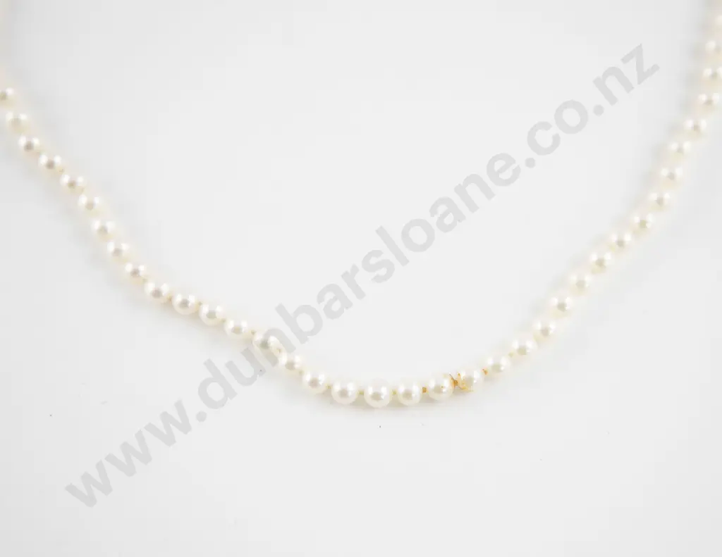 Single Strand Uniform Cultured Pearl Necklace Image 1++