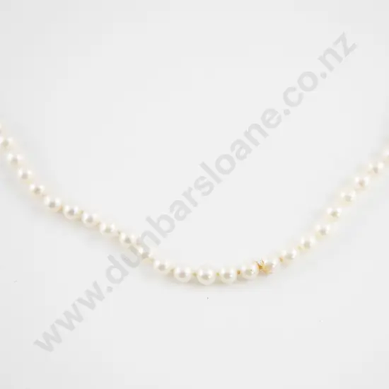 Single Strand Uniform Cultured Pearl Necklace