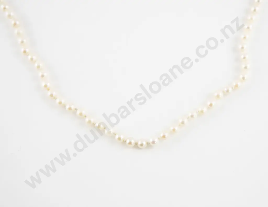 Single Strand Uniform Cultured Pearl Necklace Image 1++