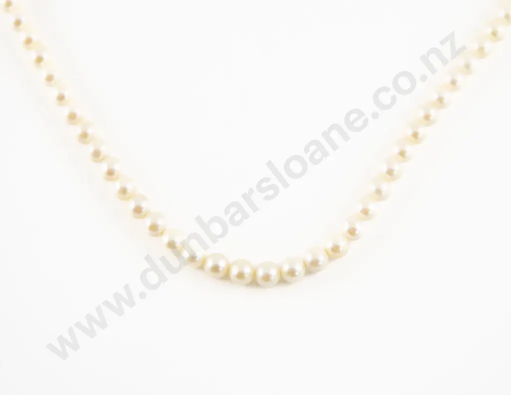 Single Strand Uniform Cultured Pearl Necklace Image 1++