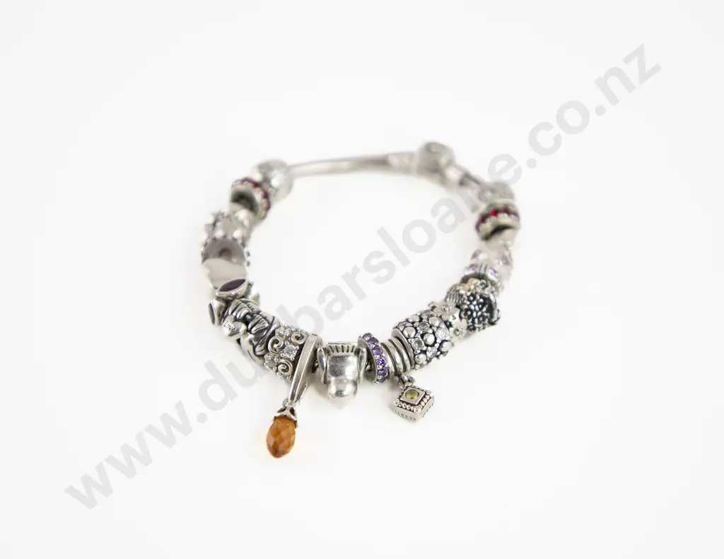 Pandora .925 Silver Type 20 Charm Bracelet Image 1++
