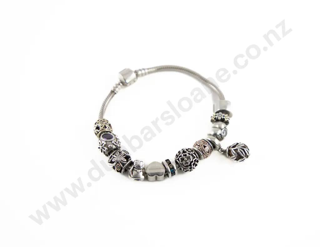 Pandora .925 Silver Type 12 Charm Bracelet Image 1++