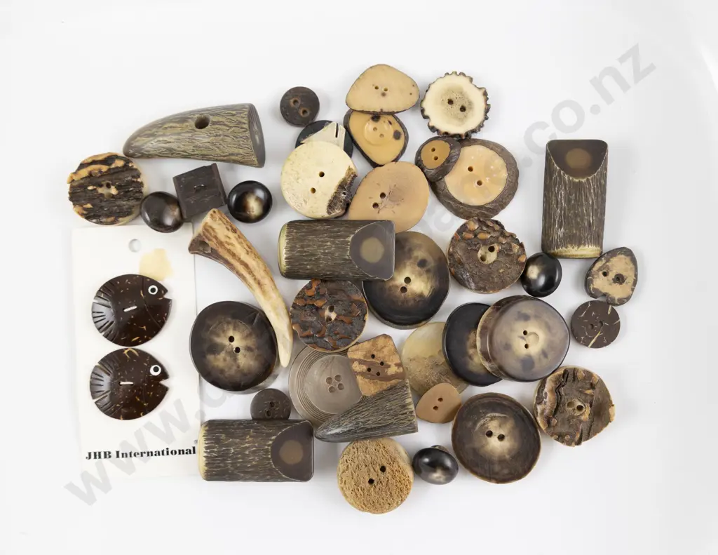 Collection Horn and Coconut Buttons Image 1++