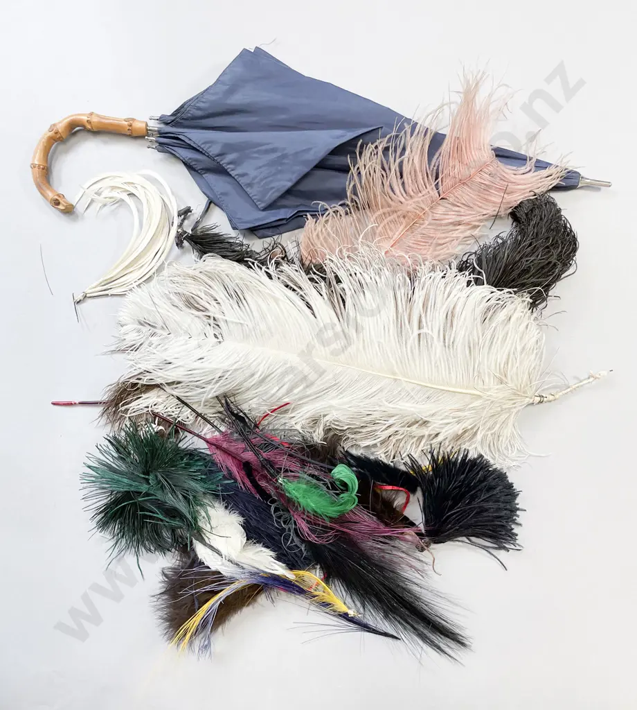 Collection Vintage Gloves Umbrella and Hat Feathers Image 1++