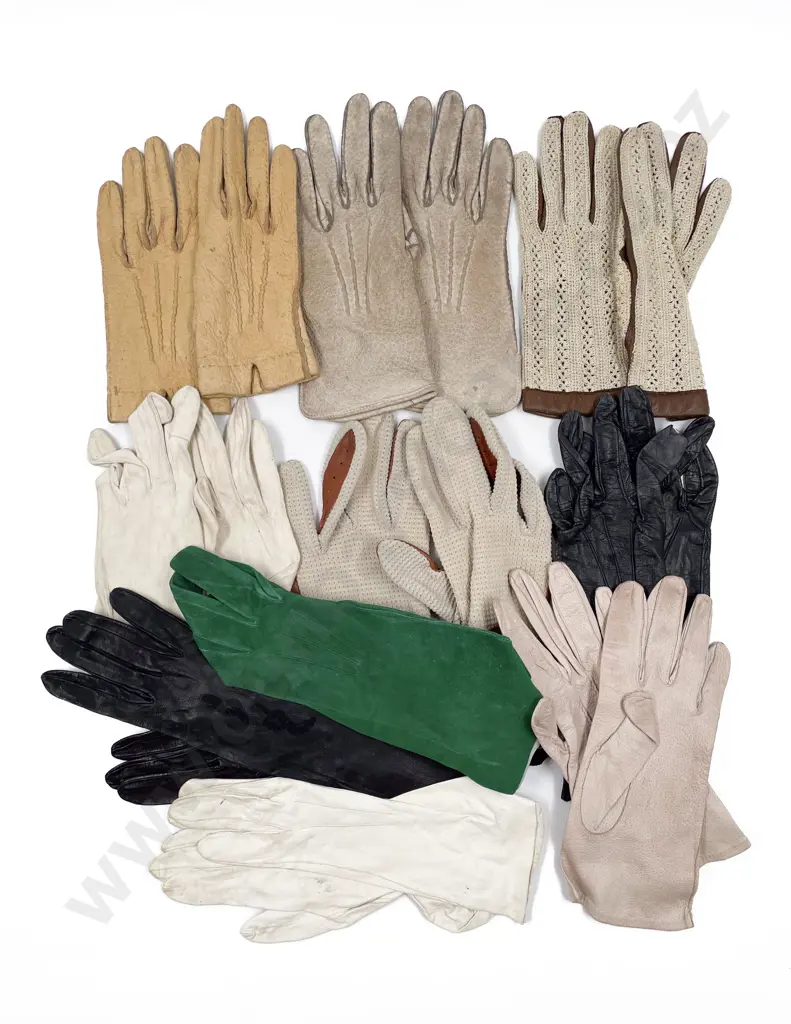 Collection Vintage Gloves Umbrella and Hat Feathers Image 1++