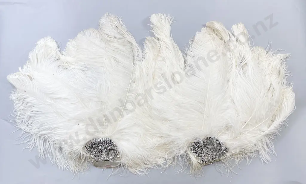 Vintage ShowgIrl Ostrich Feather Headdress and Pair Fans Image 1++
