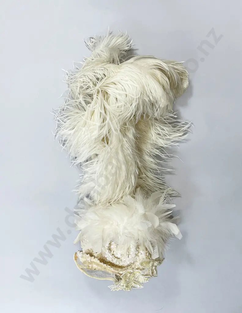 Vintage ShowgIrl Ostrich Feather Headdress and Pair Fans Image 1++
