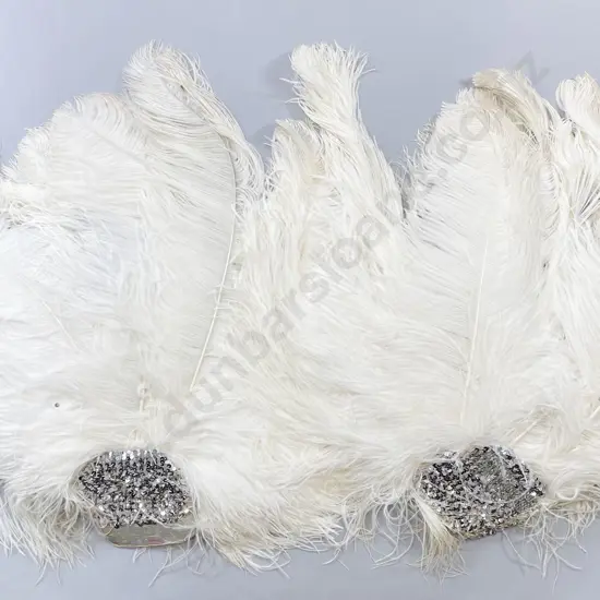 Vintage ShowgIrl Ostrich Feather Headdress and Pair Fans