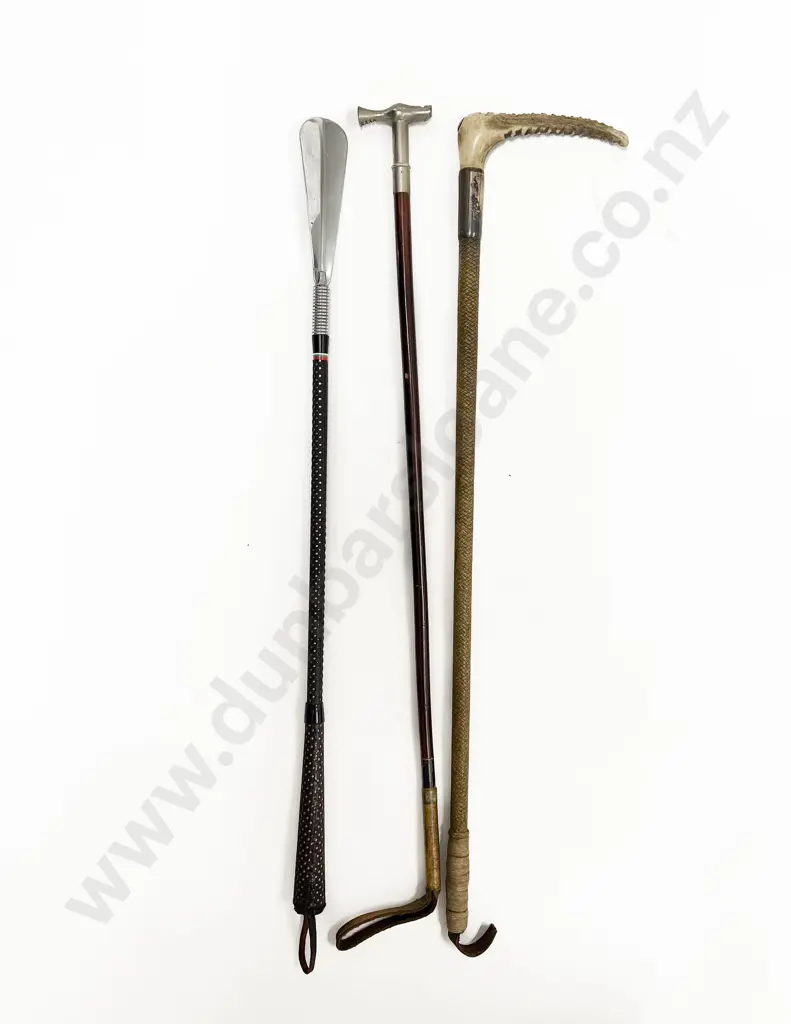 Two Riding Crops & Shoe Horn Image 1++