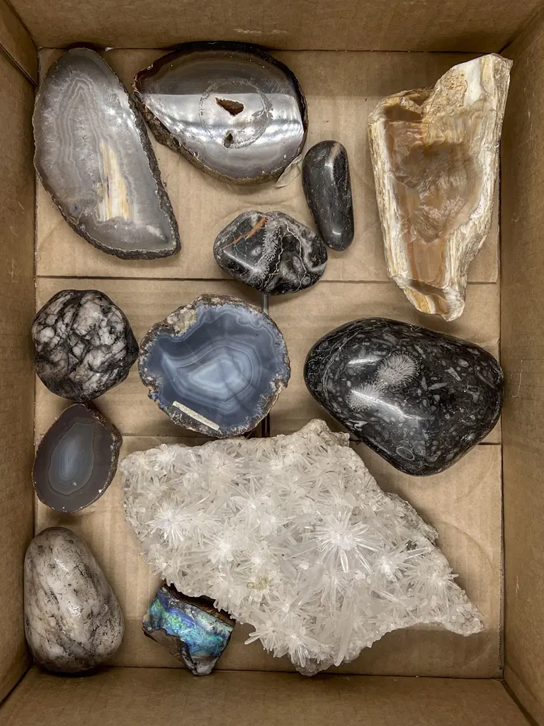 Collection of Mineral Specimens Incl. Opal Image 1++