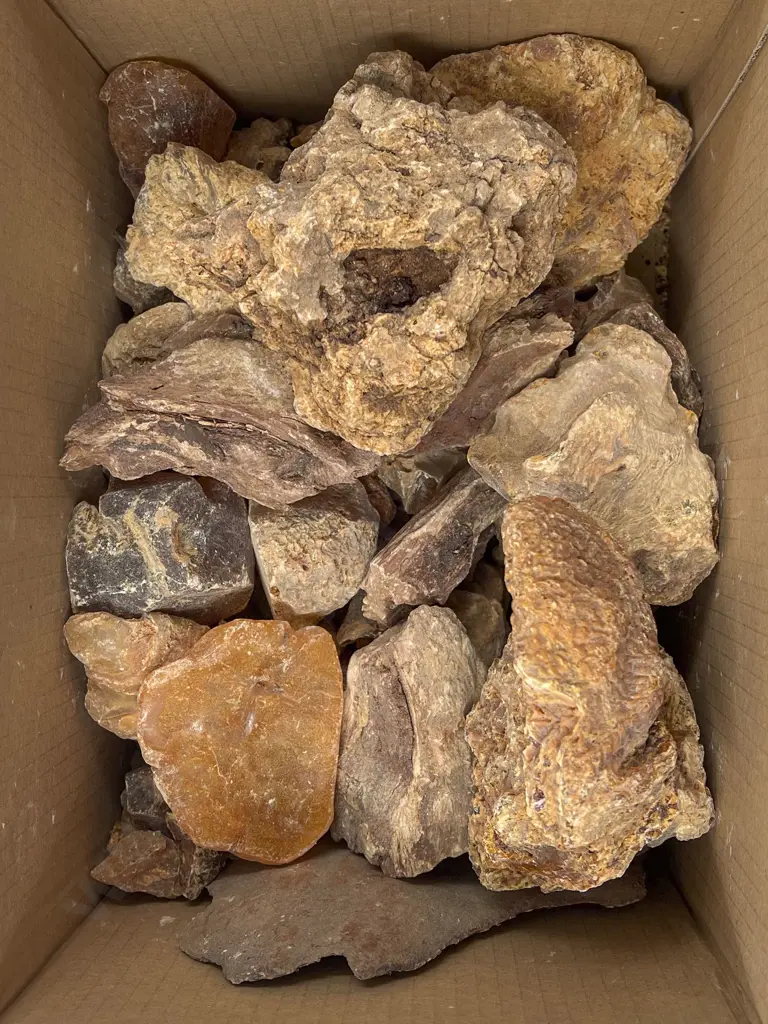 Quantity of Natural Form Amber/Kauri Gum Image 1++