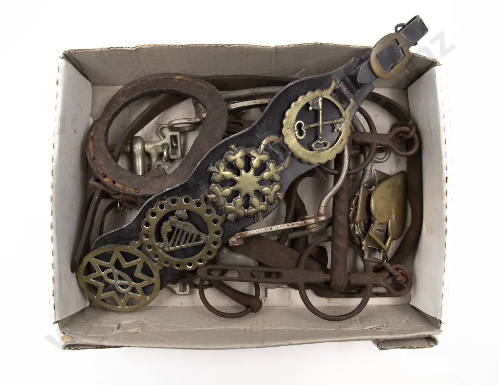 Collection of Vintage Horse Bits Image 1++