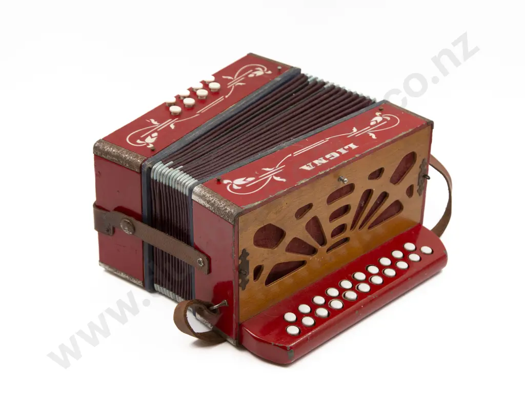 Ligna Acordion Image 1++