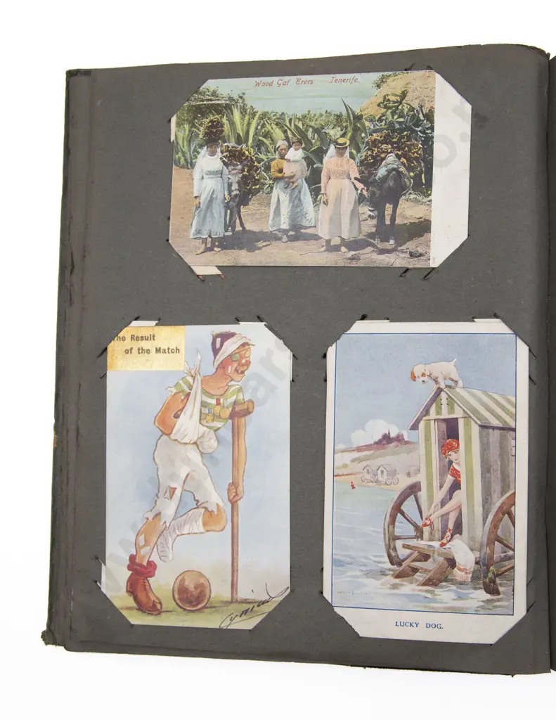 Late C19th/20th Postcard Album Image 1++