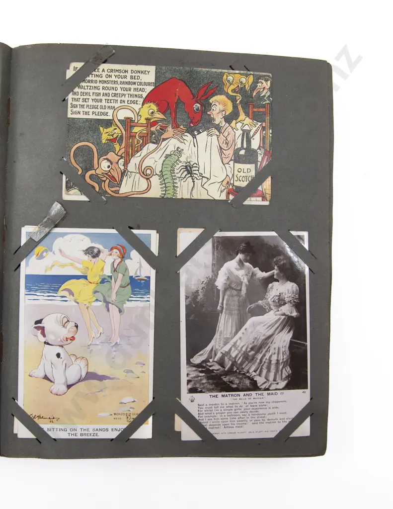 Late C19th/20th Postcard Album Image 1++