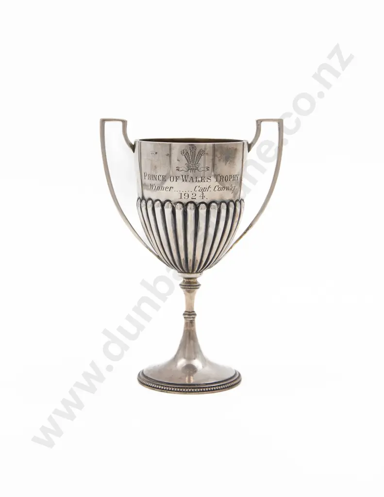 S/S Small 'Prince of Wales Trophy' Cup Image 1++