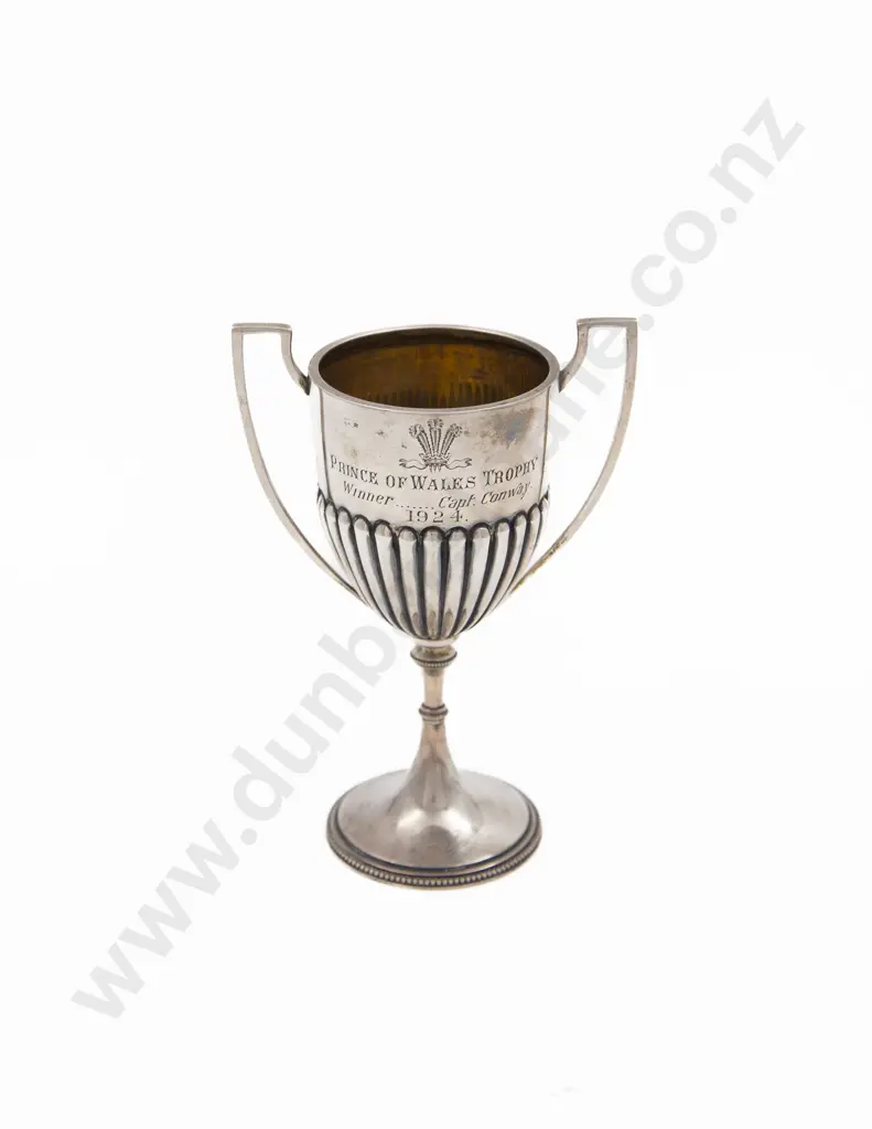 S/S Small 'Prince of Wales Trophy' Cup Image 1++